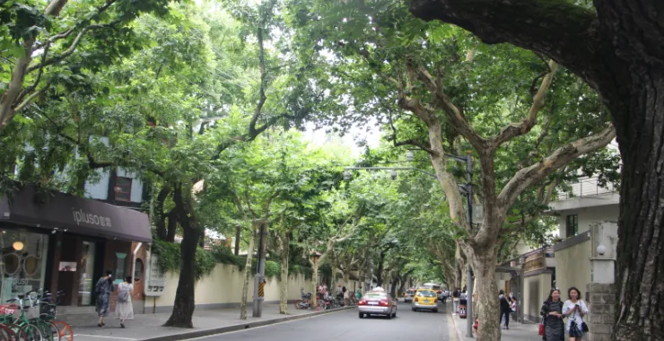 上海街头夏日马路散步