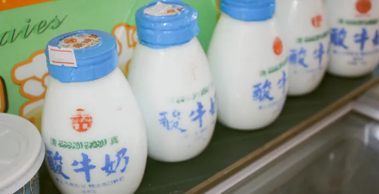 西安特色酸牛奶旅游酸奶