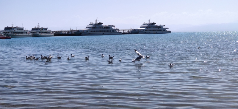 青海茶卡盐湖国家4A级景区天空之镜青海湖