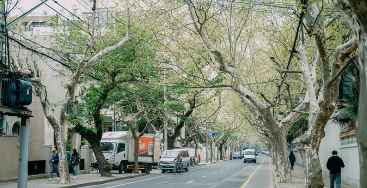 上海街头车辆马路行人早春