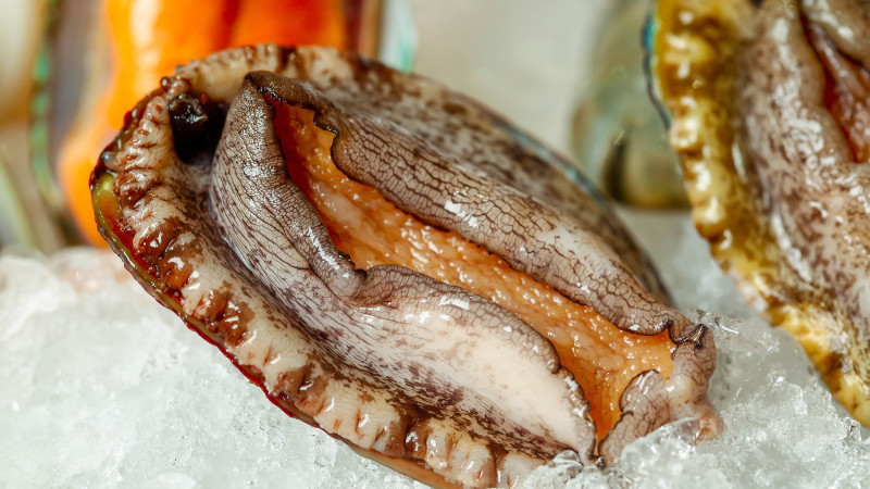 美食海鲜鲍鱼