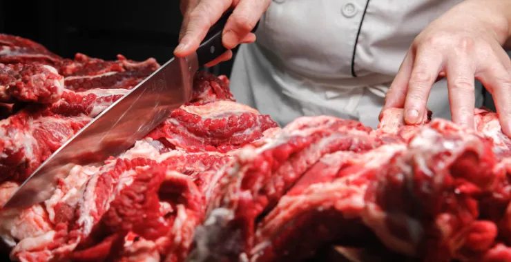 美食生牛肉