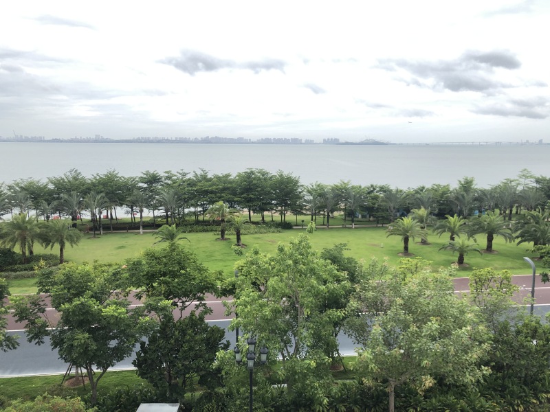 厦门七星湾酒店无敌海景植物绿色树
