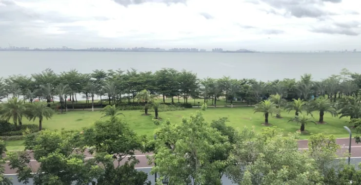 厦门七星湾酒店无敌海景植物绿色树