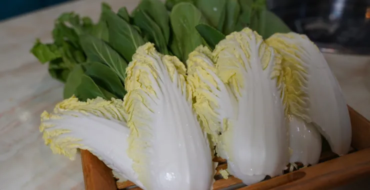 蔬菜拼盘