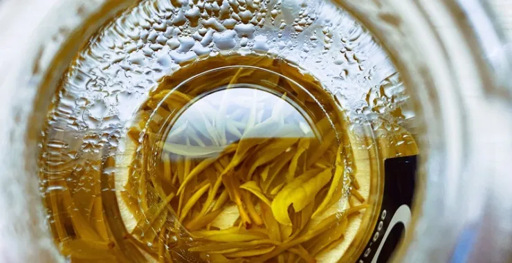 夏日的绿茶茶杯泡茶