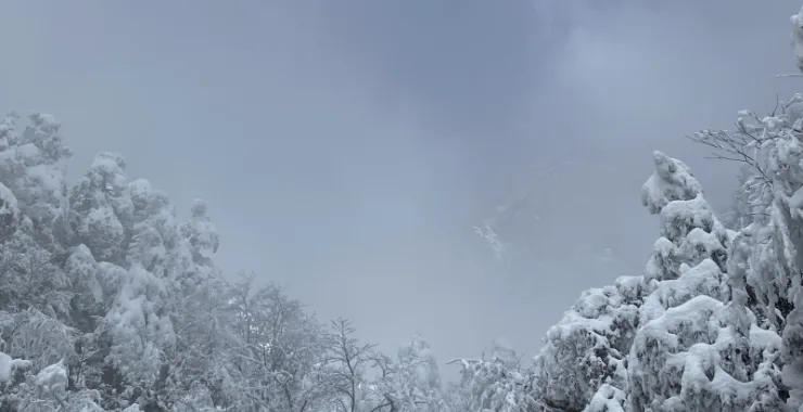 冬季黄山雪景 景点风景