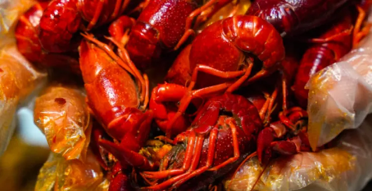 龙虾夏天美食烧烤夜宵宵夜红烧夏日