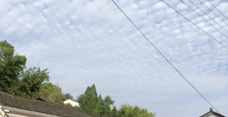 鱼鳞云天空