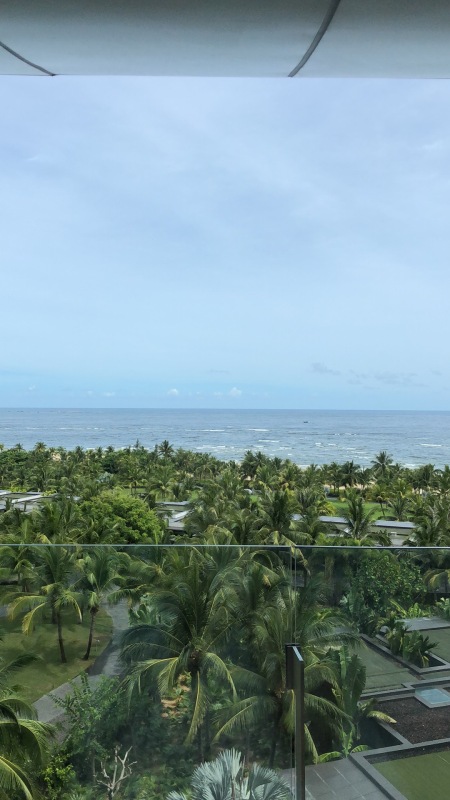 海南景色夏天沙滩海滩出游背景椰树海景房