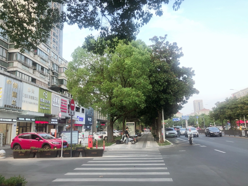 余姚四明西路人行道马路车辆汽车公共交通行人