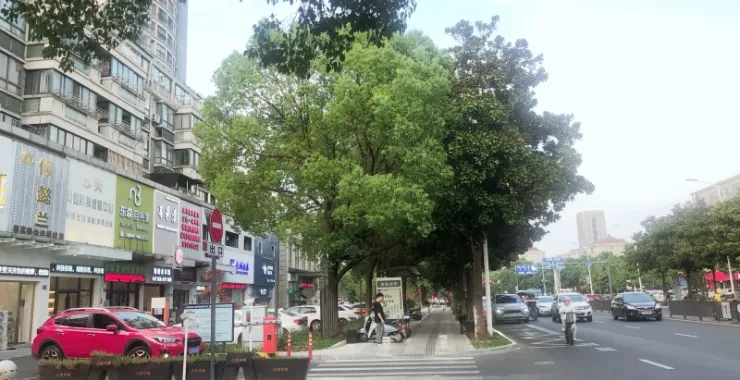 余姚四明西路人行道马路车辆汽车公共交通行人