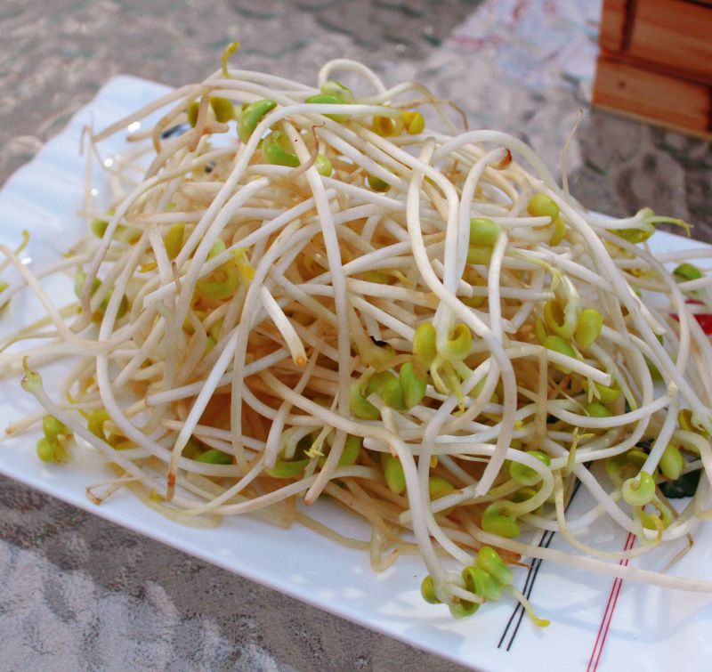 豆芽火锅菜配菜蔬菜