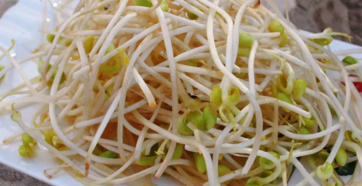 豆芽火锅菜配菜蔬菜