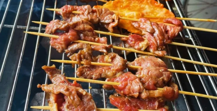 家庭烧烤 户外烤肉
