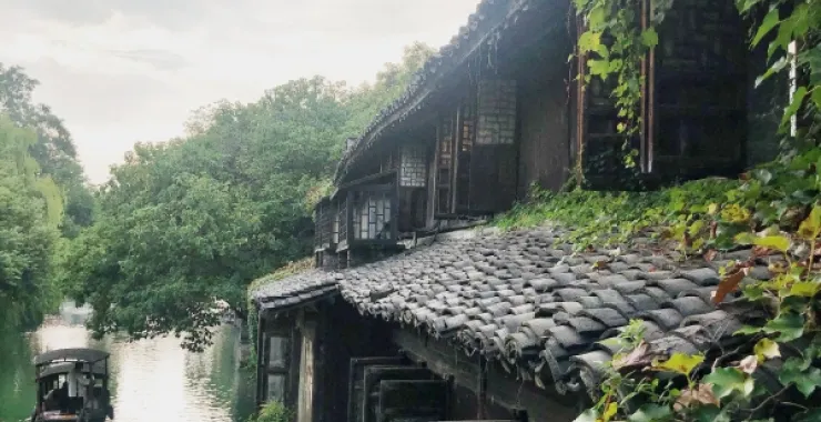 旅游旅行景区乌镇景点江南水乡木屋老房子木窗