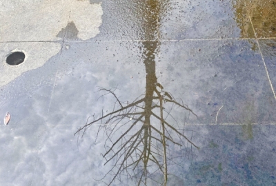 SimilarPics