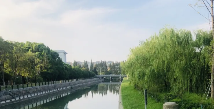 小河河水河边湖水绿道柳树垂柳绿植
