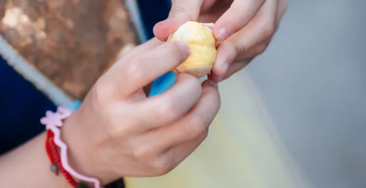余姚农作物栗子板栗零食小吃农村采摘毛栗