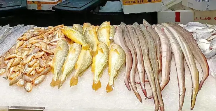 超市菜市场买菜海鲜小黄鱼鳗鱼海产品