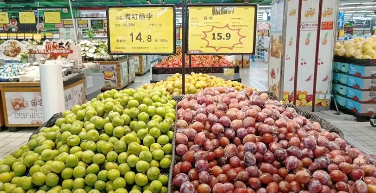 超市应季水果新鲜李子