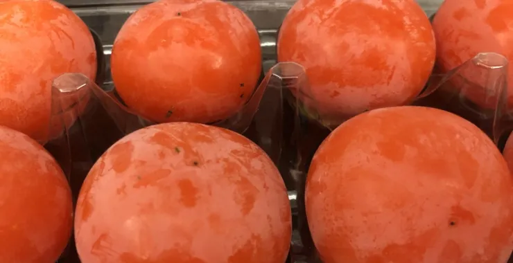 秋季应季水果新鲜柿子美食