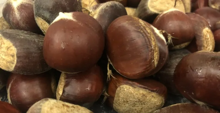 秋季栗子采摘板栗美食