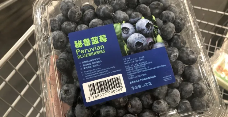 山姆超市水果进口蓝莓盒装