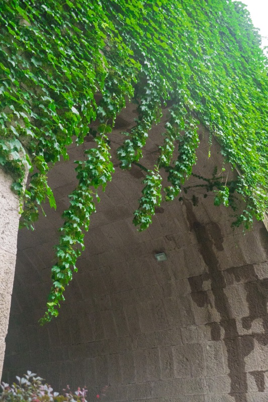 余姚临山城门石门