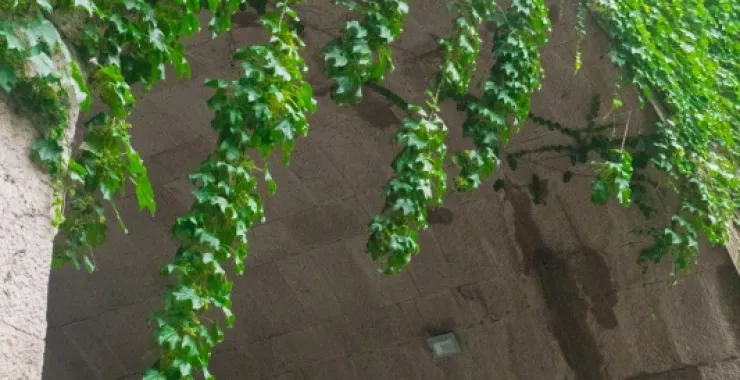 余姚临山城门石门
