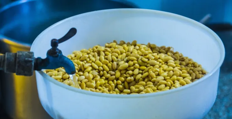 余姚临山美食传统手工豆干点心豆制品制作香干豆腐黄豆