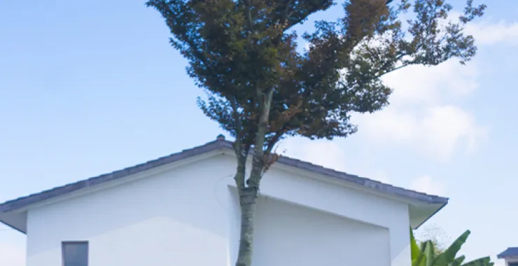 余姚民宿旅游居住住宿大乐之野