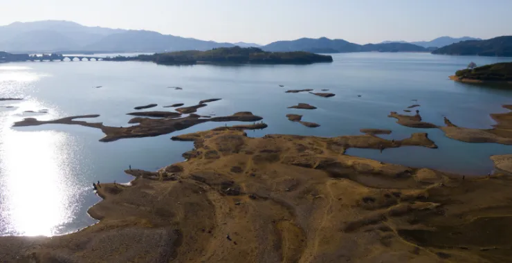 余姚夏日四明湖水杉林 四明山网红地打卡旅行
