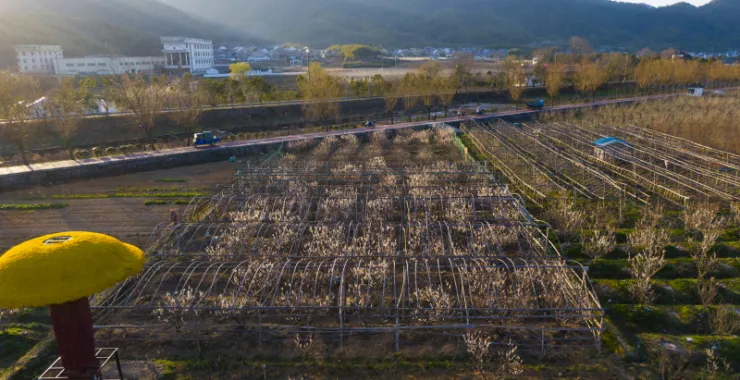 余姚梁弄大溪农田农场大棚种植农村田野