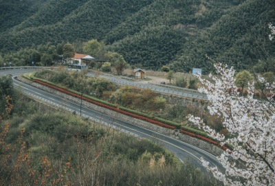 SimilarPics