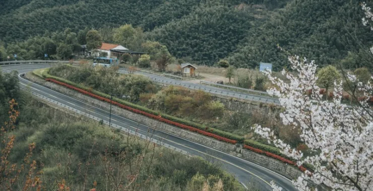 余姚山间道路山路桃花樱花油菜花公交车大山城乡公交