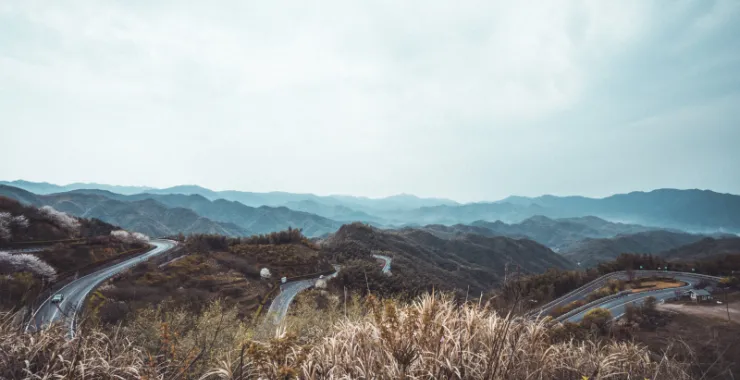 余姚山间道路山路桃花樱花油菜花公交车大山城乡公交
