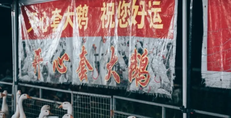 余姚夜市人间烟火夏日游玩套大鹅儿童亲子游戏