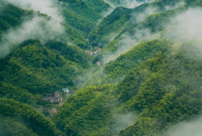 SimilarPics
