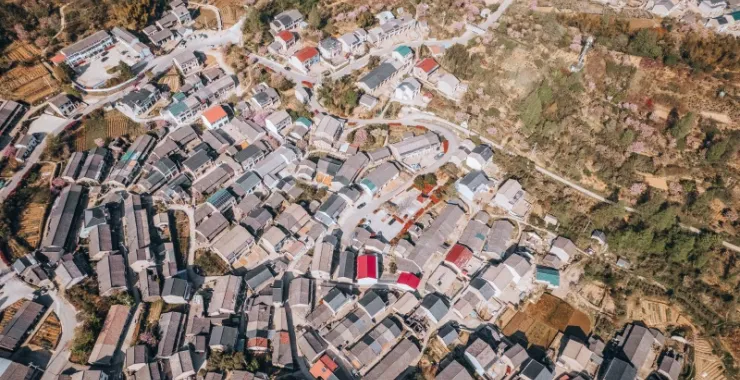 余姚大岚雅庄航拍俯瞰农村村庄房屋建筑乡村