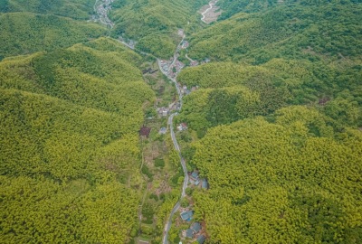 SimilarPics