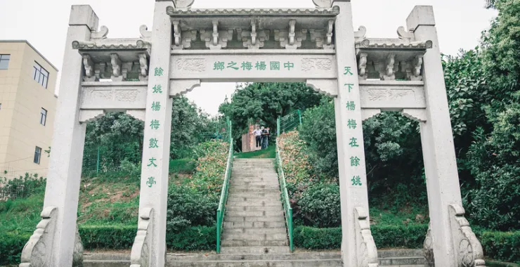 余姚丈亭杨梅之乡水果