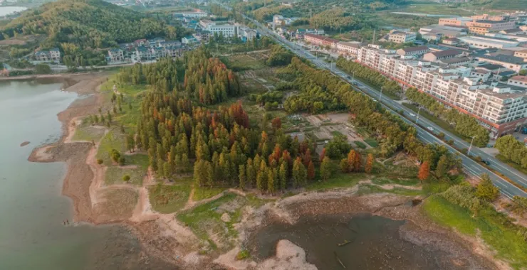 余姚四明湖干旱少雨水四明山网红地打卡俯瞰航拍水杉林