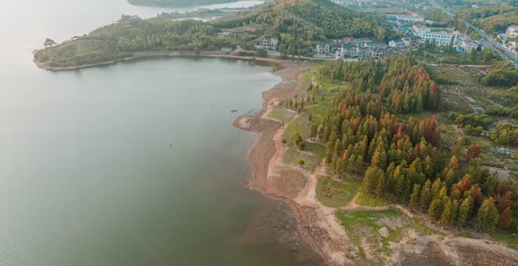 余姚四明湖干旱少雨水四明山网红地打卡俯瞰航拍水杉林