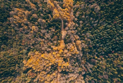 SimilarPics