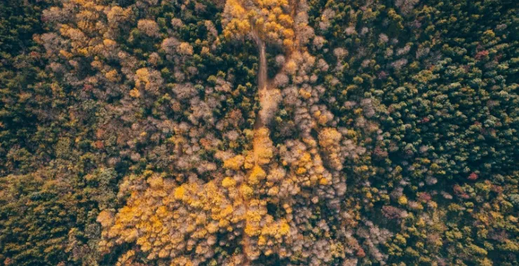 余姚四明山大山里山间道路蜿蜒航拍俯瞰山路群山红枫