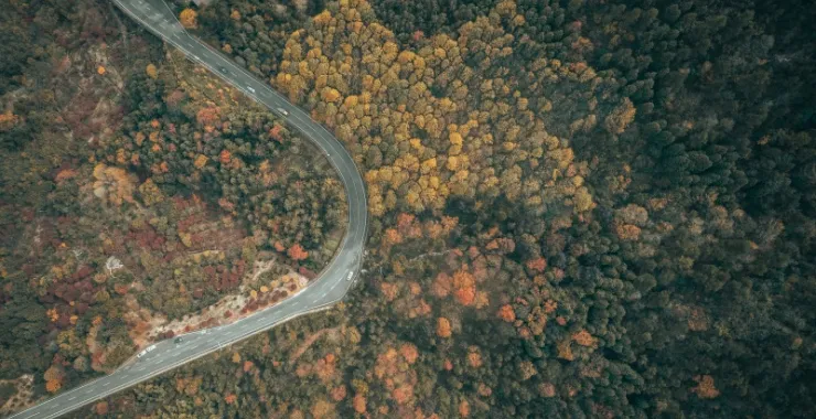 余姚四明山大山里山间道路蜿蜒航拍俯瞰山路群山红枫