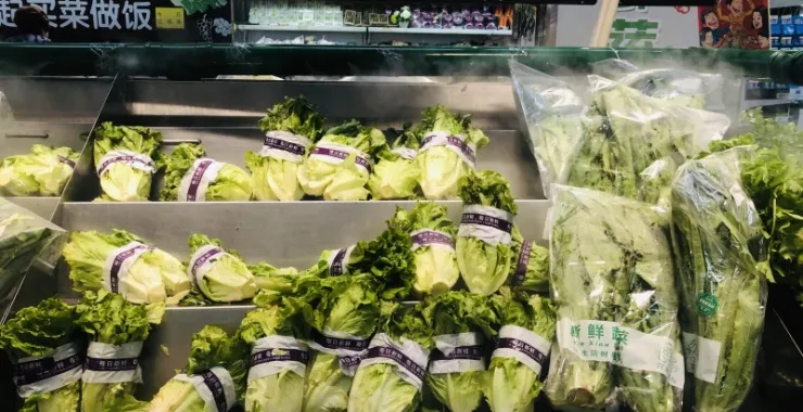 余姚家家福超市蔬菜购物买菜生活
