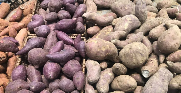 余姚家家福超市购物生活紫薯番薯粗粮