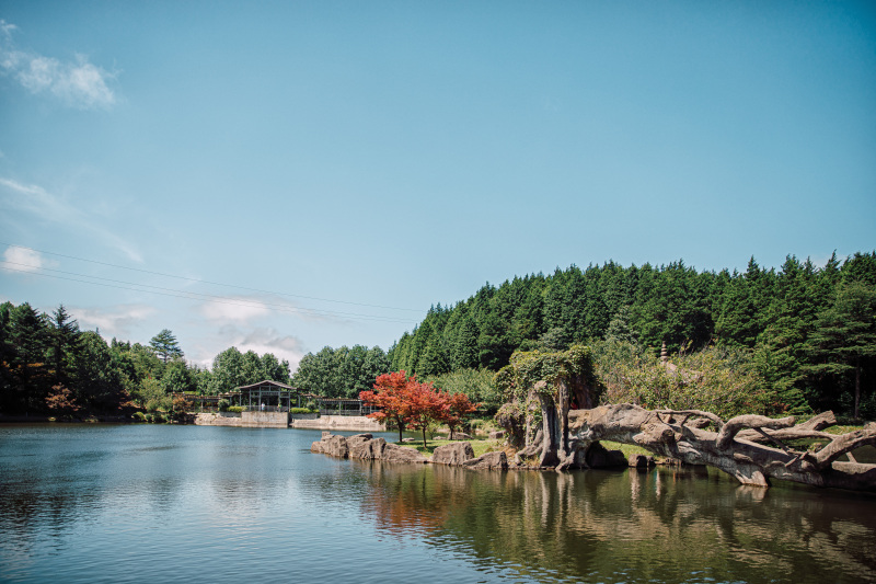 余姚四明山仰天湖景区青山绿水